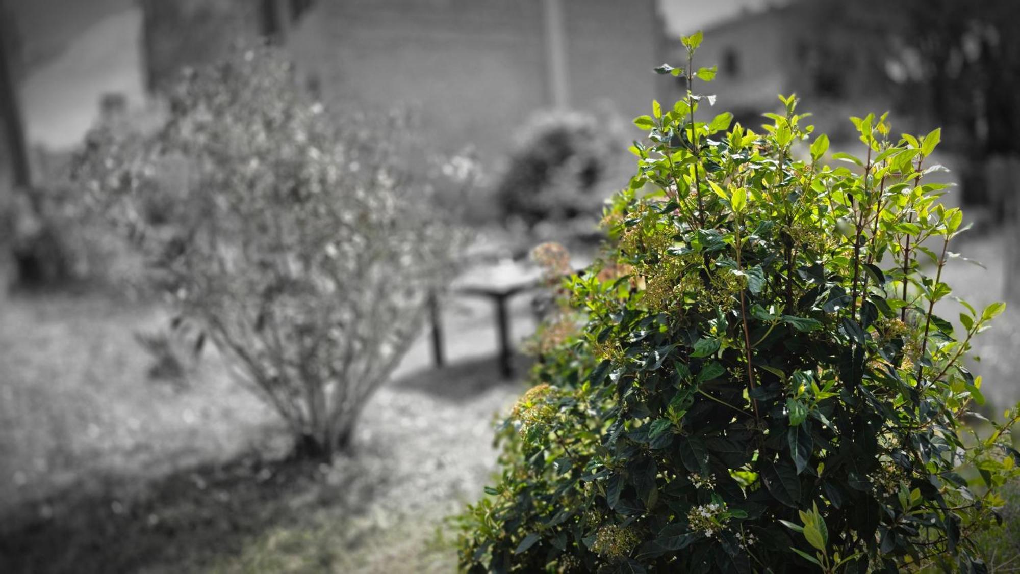 몬테폴로니코 A Casa Di Gabri 빌라 외부 사진